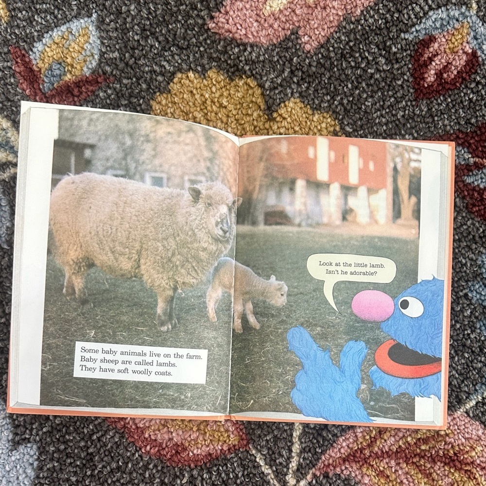 Sesame Street Grover Reading on Orange Cover with Green Table - Picture 2 of 15